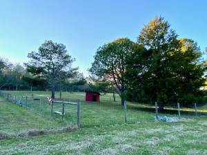 Billy and Kidding Pastures