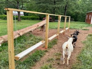 Hanging Grain Feeders