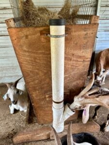 Goat PVC Mineral Feeder