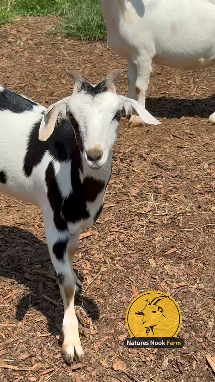 Nature’s Nook Farm