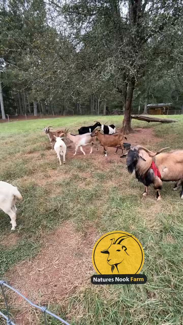 Nature’s Nook Farm