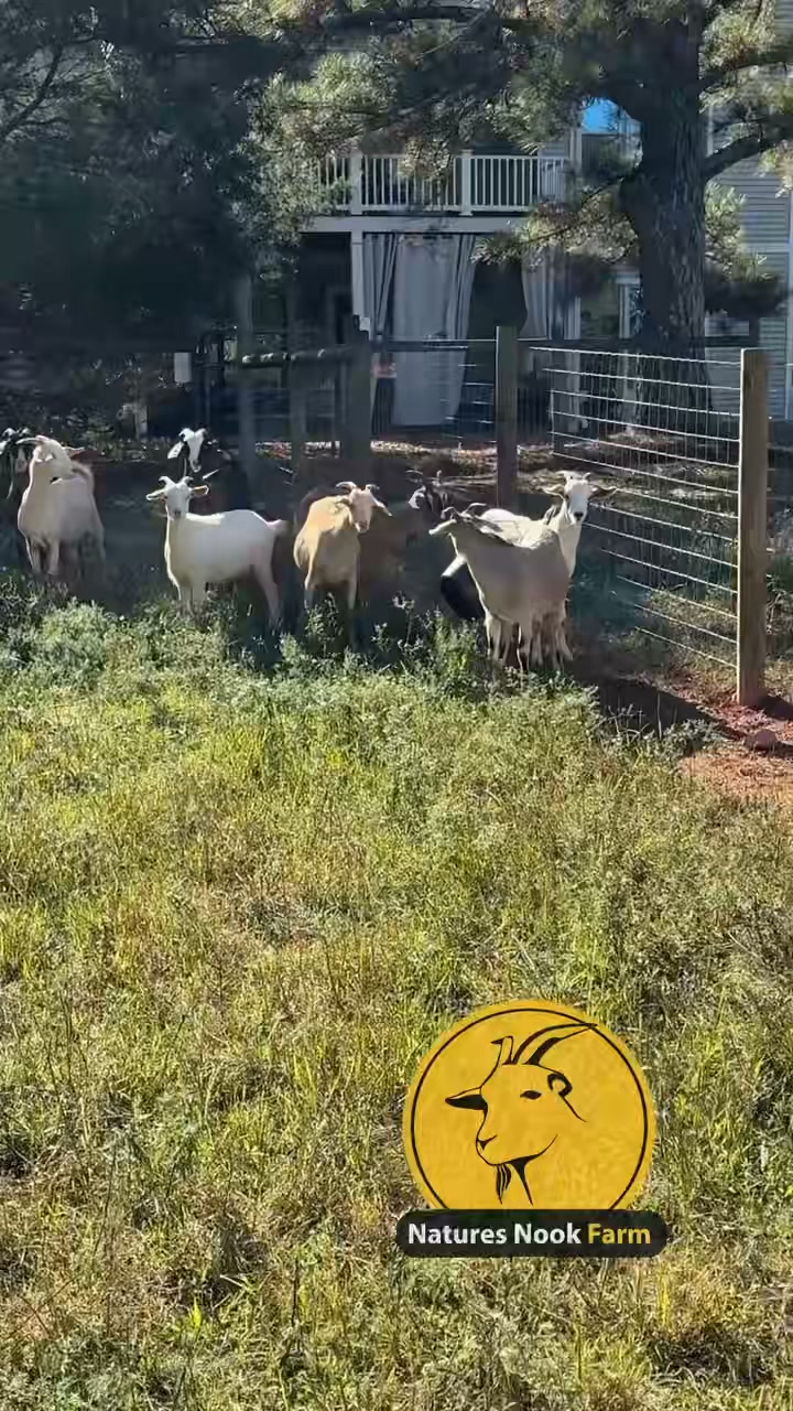 Nature’s Nook Farm