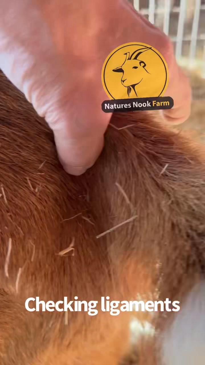 Nature’s Nook Farm