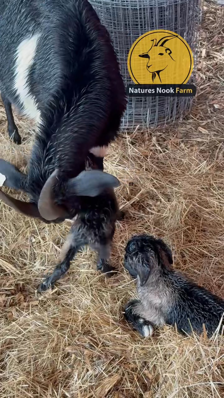 Nature’s Nook Farm