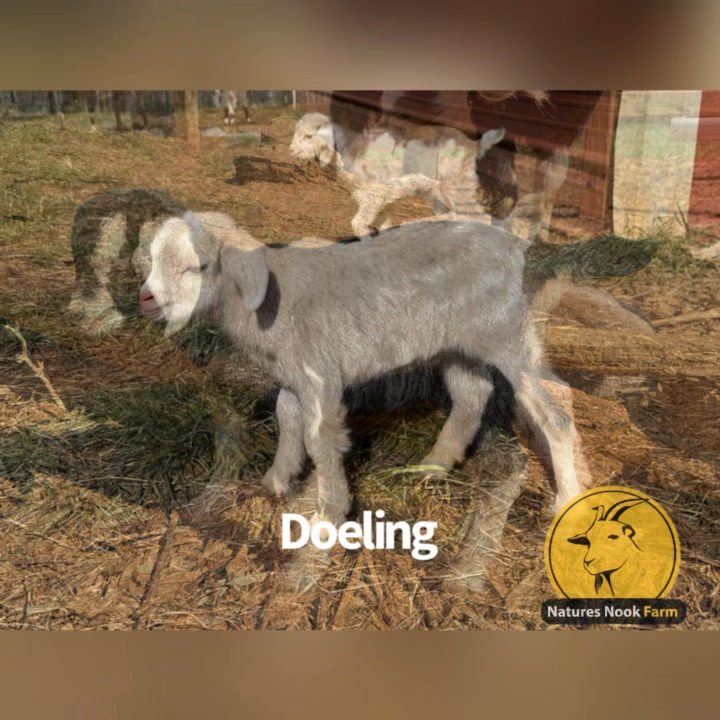 Nature’s Nook Farm