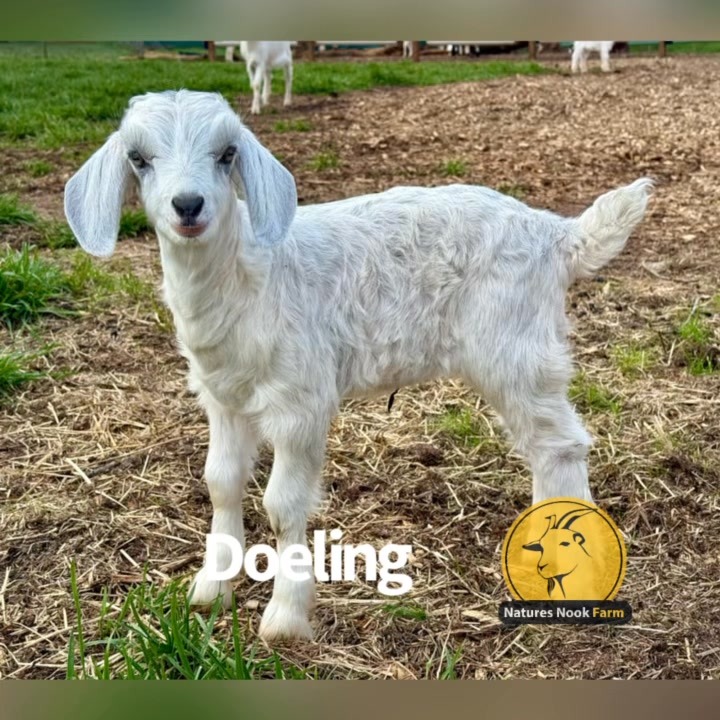 Nature’s Nook Farm