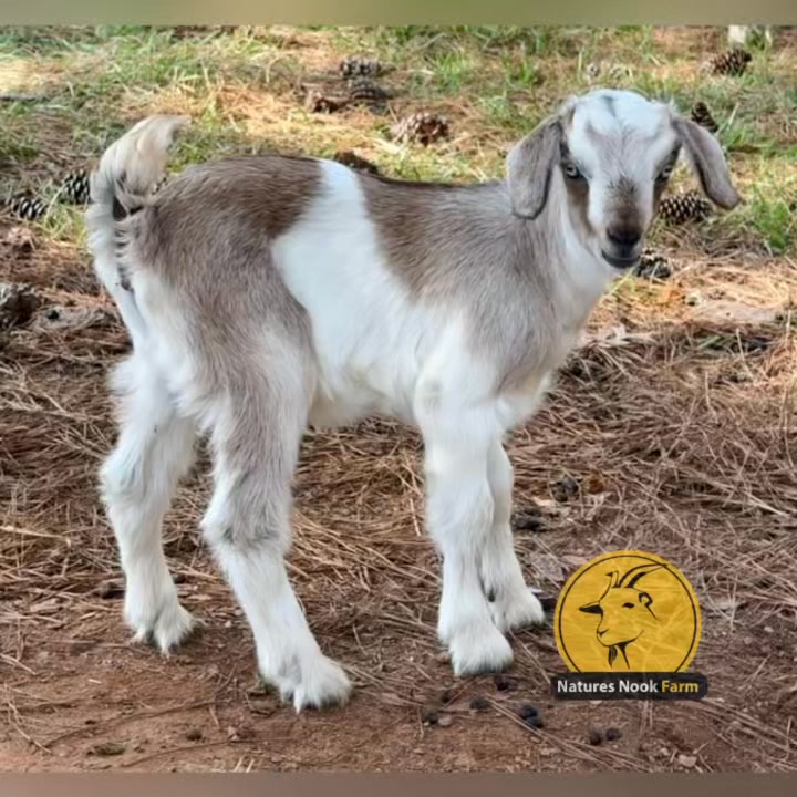 Nature’s Nook Farm