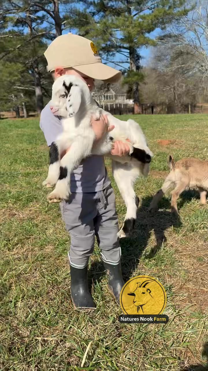 Nature’s Nook Farm