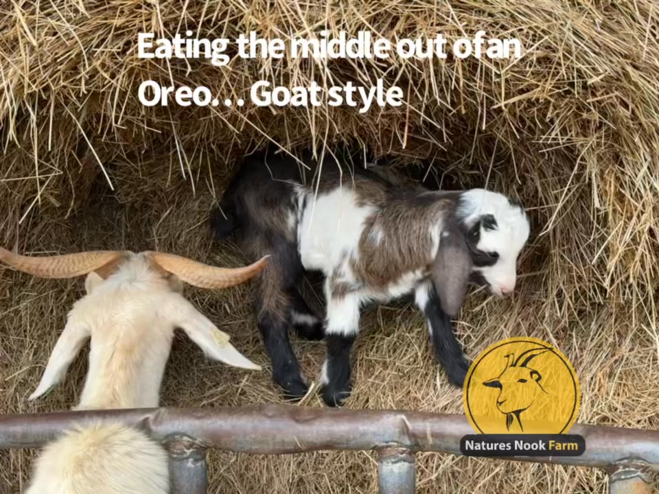 Nature’s Nook Farm