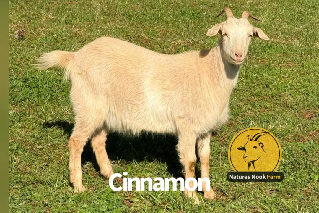 Nature’s Nook Farm