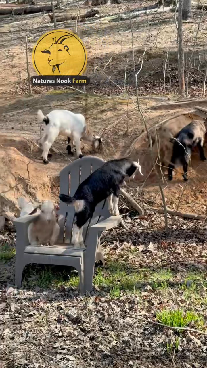 Nature’s Nook Farm