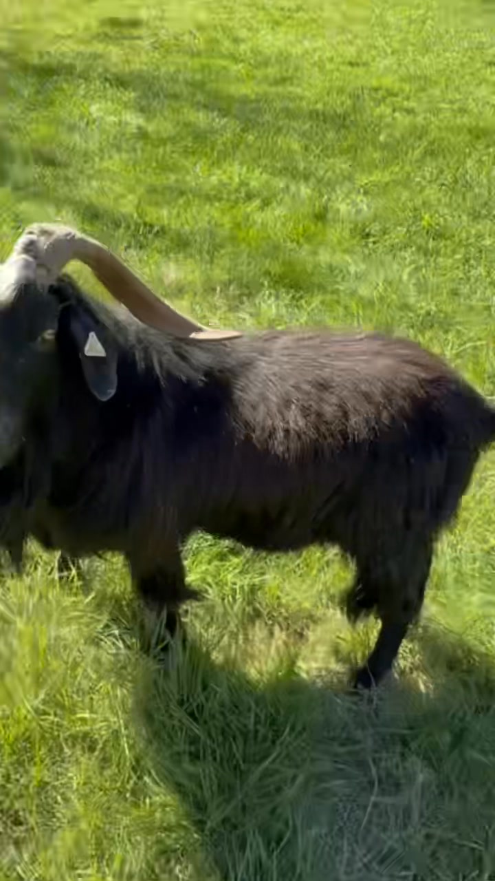 Nature’s Nook Farm