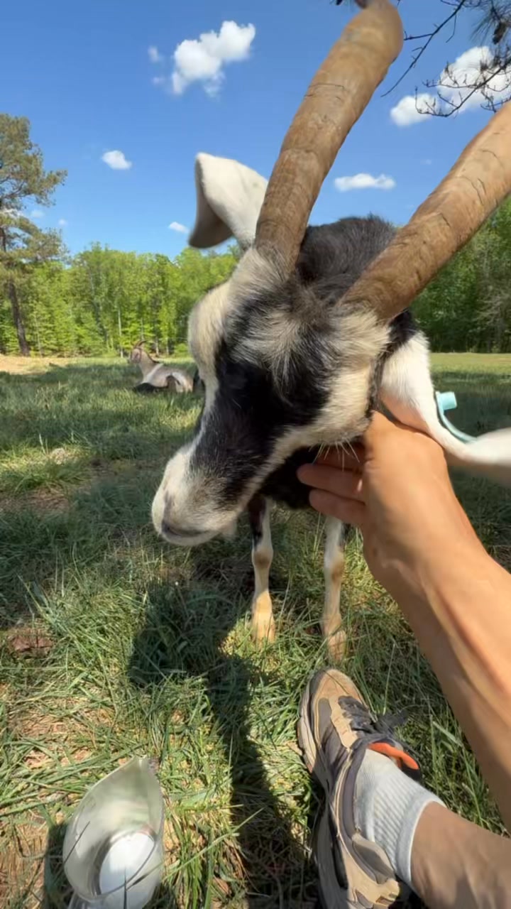 Nature’s Nook Farm