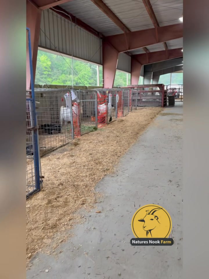 Nature’s Nook Farm