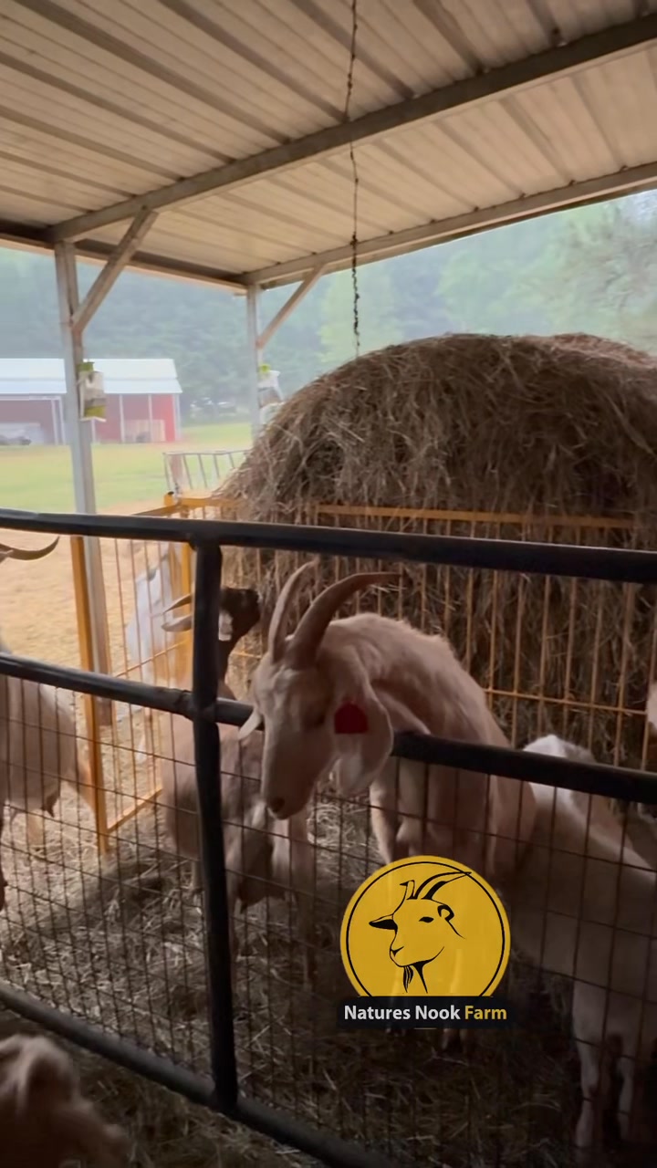 Nature’s Nook Farm